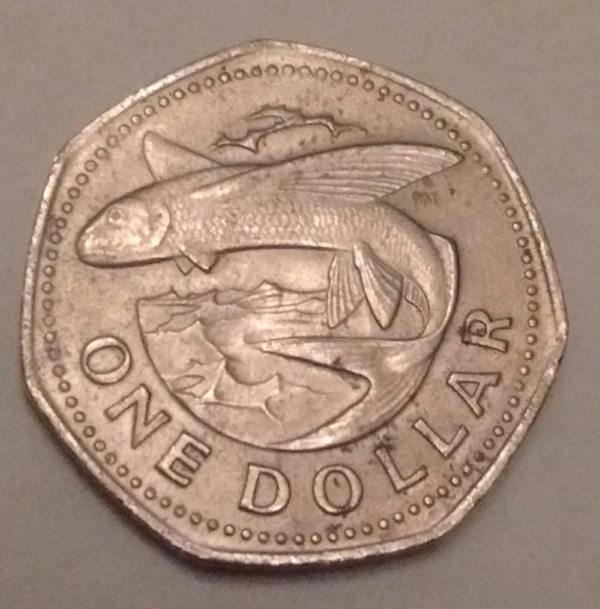 Show-Your-Coins-With-Different-Edges